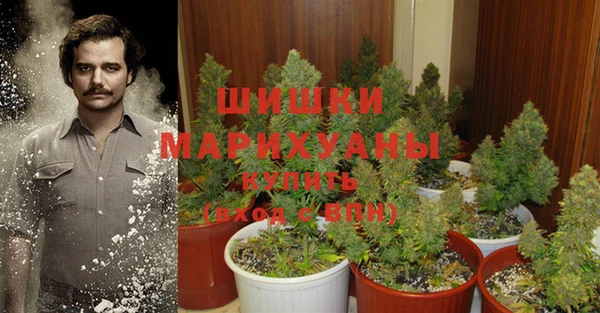 МДПВ Володарск