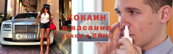 шишки Волоколамск