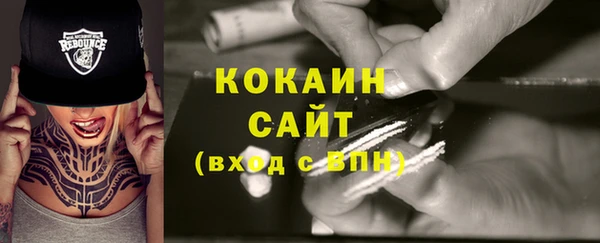 шишки Волоколамск