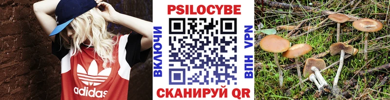 где купить   Пятигорск  Галлюциногенные грибы мицелий 