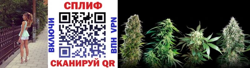 Марихуана THC 21% Пятигорск