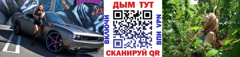 Конопля SATIVA & INDICA  mega онион  darknet официальный сайт  Пятигорск 